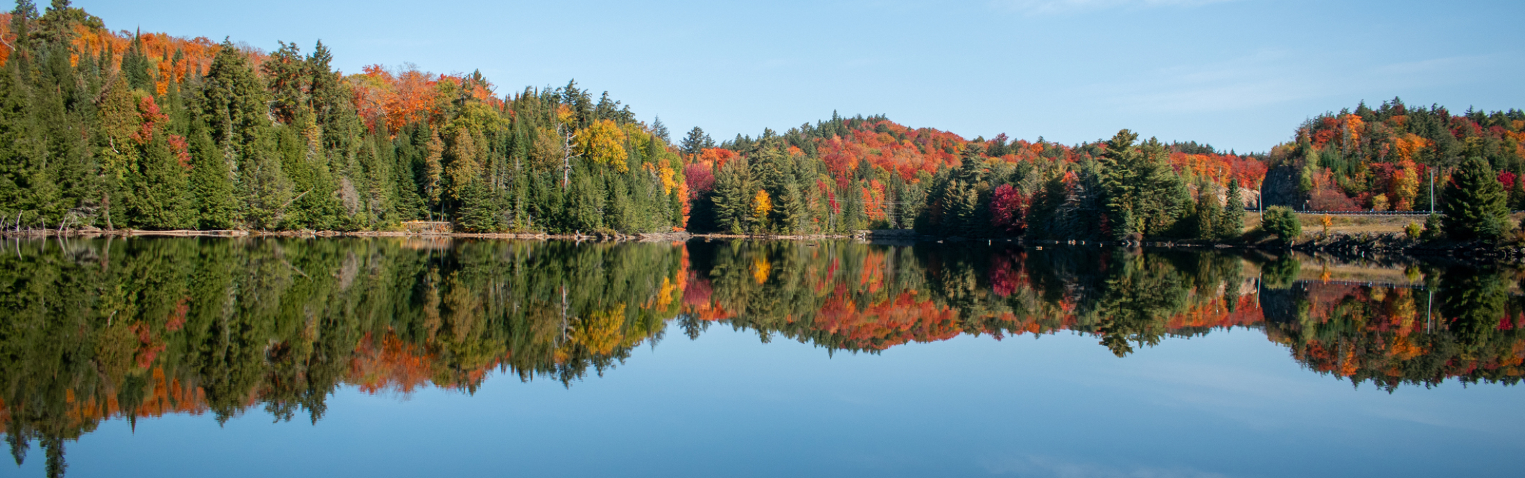 Trees surround a still lake below blue skies.