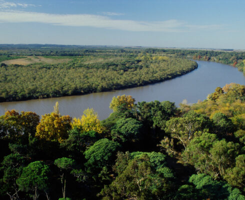 Aerial view of a river curving through forest in Uruguay.