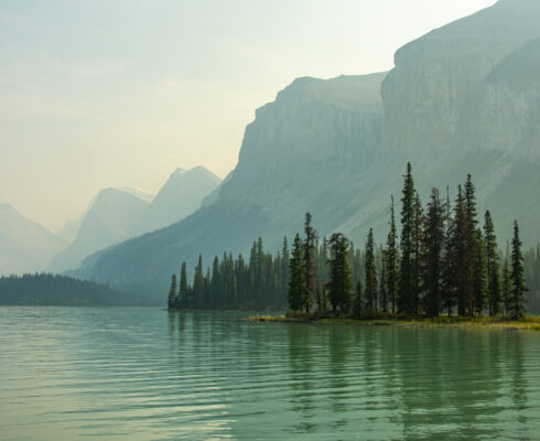 Pine trees reflecting in the water with mountains in the background.