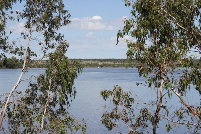 A parakeet's view - peeking through eucalyptus at the sediment sampling crew.